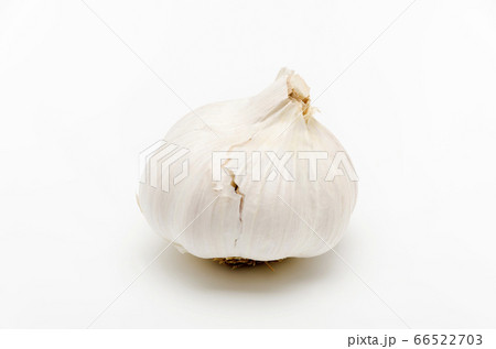ニンニク 66522703