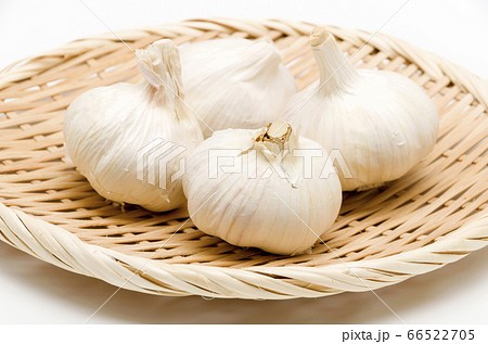 ニンニク 66522705