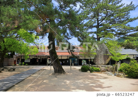 【山口県】新緑の吉田松陰歴史館（松陰神社） 66523247