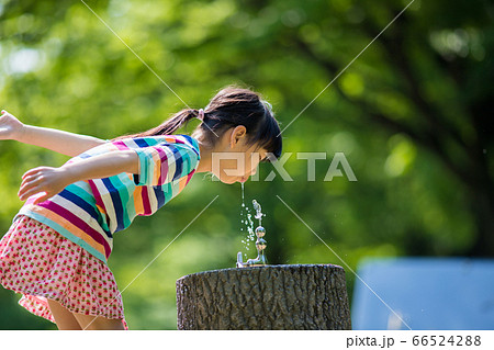 真夏の公園で蛇口の水を飲んでいる可愛い子供 真夏の公園で蛇口の水を飲んでいる可愛い子供 66524288