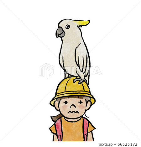 頭におうむが乗った女の子のイラスト素材