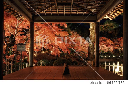 縮景園 紅葉 縮景園 紅葉 66525572