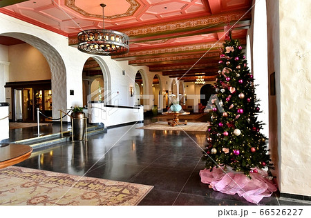 ハワイの休日 66526227