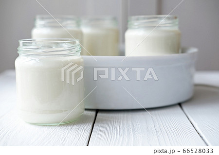homemade organic yogurt in glass jars in yogurt maker. 66528033