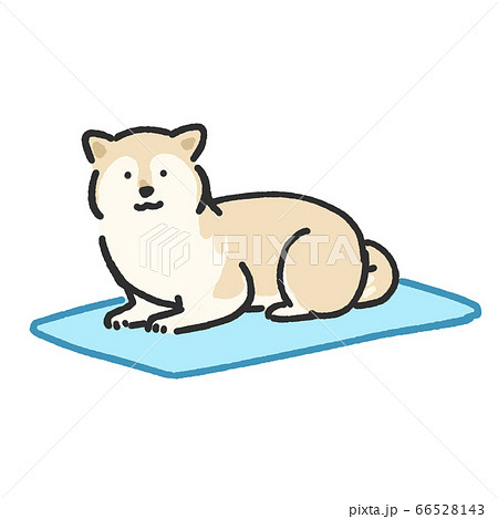 ひんやりマットに乗る柴犬のイラスト素材