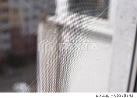 Background mosquito net on the window and view of 66528242