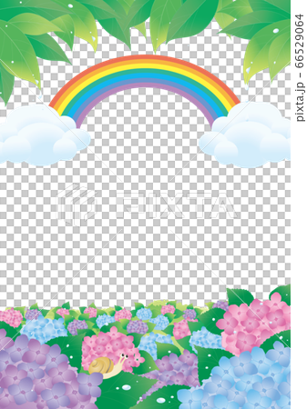 四個季節 六月 繡球花 彩虹和白色背景 垂直 插圖素材 圖庫