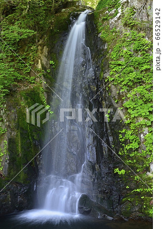 【岐阜県　高山市】宇津江四十八滝・銚子口滝 66529142