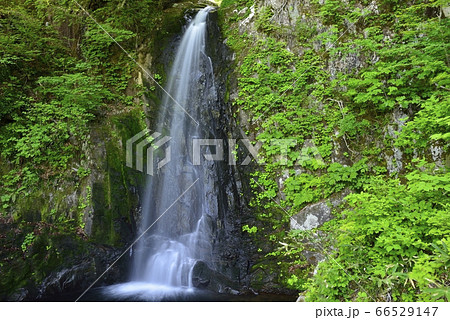 【岐阜県　高山市】宇津江四十八滝・銚子口滝 66529147
