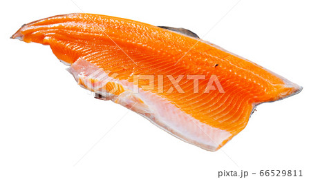 Uncooked fillet trout fish with parsley and garlic 66529811