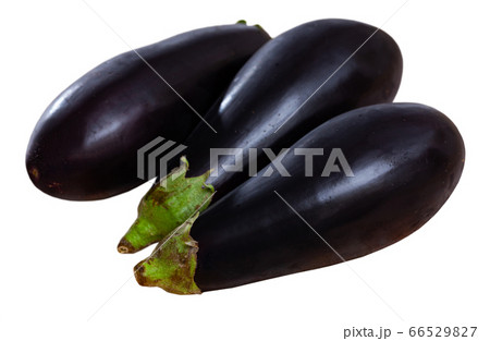 Fresh aubergines 66529827
