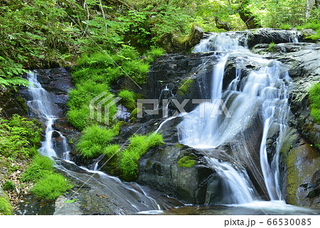 【岐阜県　高山市】宇津江四十八滝・布晒滝 66530085