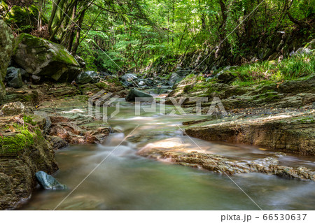 埼玉県越生町の渓谷 66530637