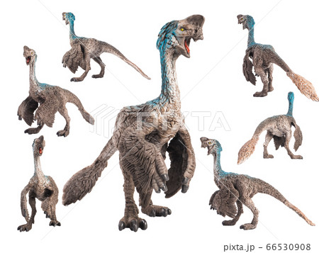 Oviraptor Dinosaur on white background 66530908