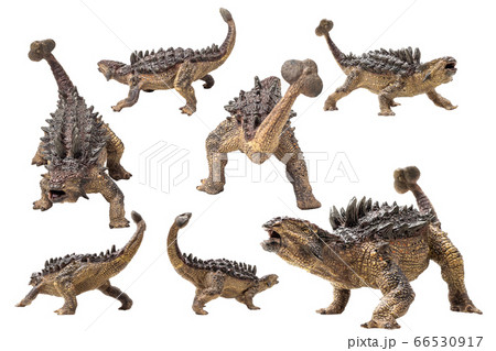 Ankylosaurus Dinosaur on white background 66530917