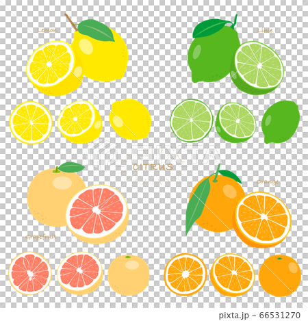 citrus, fruit, fruits 66531270