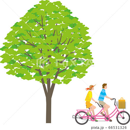 木の下でタンデム自転車に乗るカップルのイラスト素材