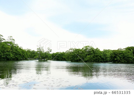 北海道 大沼公園 北海道 大沼公園 66531335