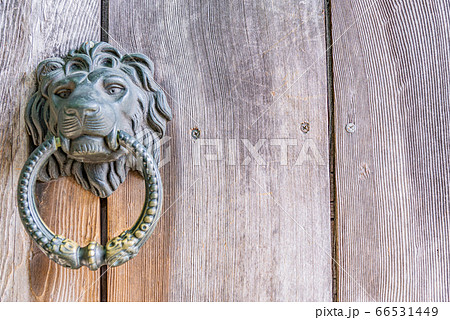 台北 台北市 タイペイ 66531449