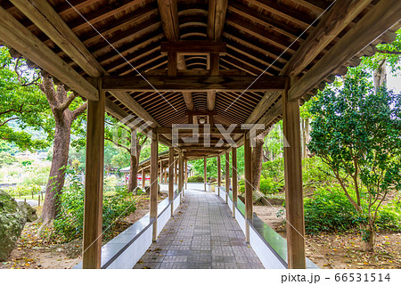 建築 構築 アーキテクチャ 66531514