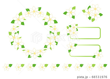 くちなしの花 66531976