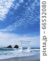 糸島市二見ヶ浦夫婦岩の青い海と白い波 66532080
