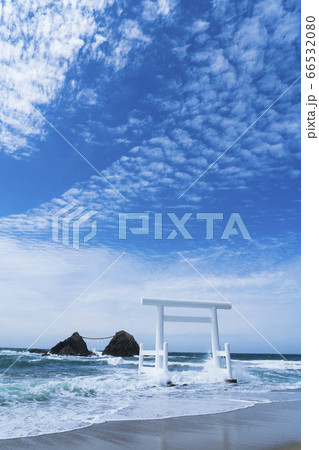 糸島市二見ヶ浦夫婦岩の青い海と白い波 66532080