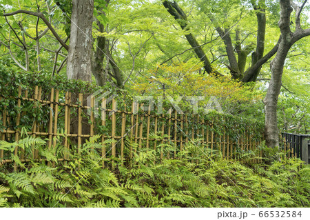 京都　東福寺 66532584
