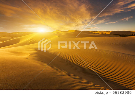 Beautiful sand dunes in the Sahara desert 66532986