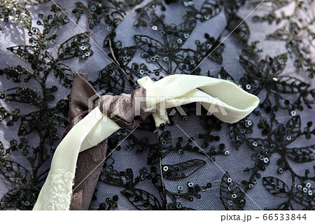 韓服 服 女性 66533844