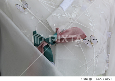 韓服 服 女性 66533851