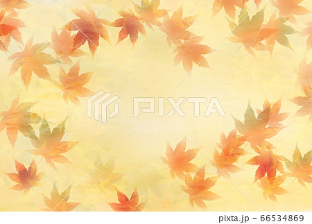紅葉　もみじ　秋　背景 66534869