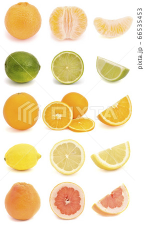 Citrus fruit collection Citrus fruit collection 66535453