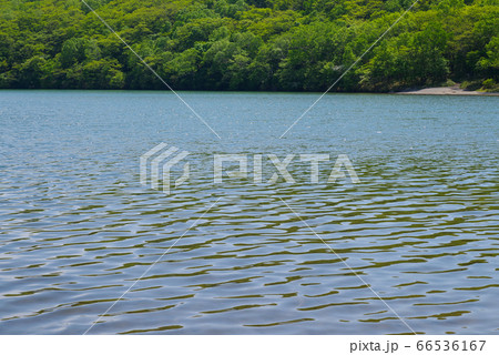 初夏の赤城山・小沼【群馬県】 初夏の赤城山・小沼【群馬県】 66536167