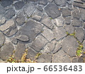 石畳のテクスチャ　pave 66536483