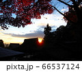 神社・神楽殿のシルエットと紅葉と夕方の空　 66537124