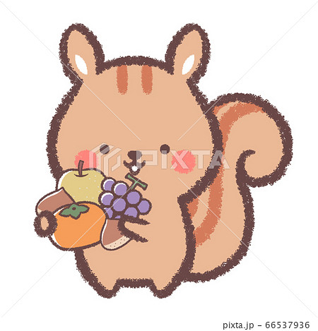 リスと秋の味覚 66537936