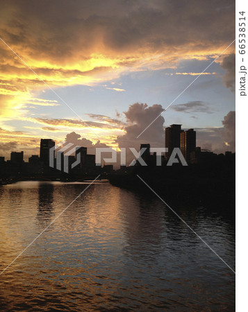 大阪中之島ビル風景 66538514