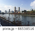 大阪中之島ビル風景 66538516