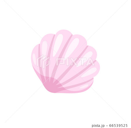 Summer Seashell, Beach Conch Isolated Icon Closeup Summer Seashell, Beach Conch Isolated Icon Closeup 66539525
