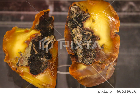 Fragments of amber close-up. Natural unpolished Fragments of amber close-up. Natural unpolished 66539626