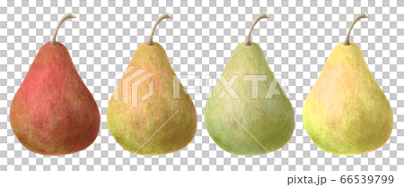 Colorful pears Colorful pears 66539799