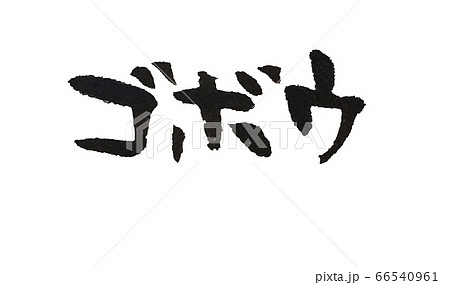ゴボウ 手書き 筆文字 66540961