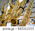 サックス 66541555