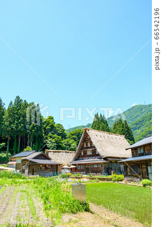 初夏の菅沼合掌造り集落 66542196
