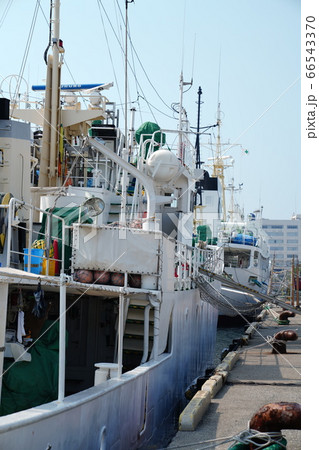 三崎港に着岸した練習船 66543370