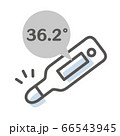 体温計のシンプルイラスト 体温計のシンプルイラスト 66543945