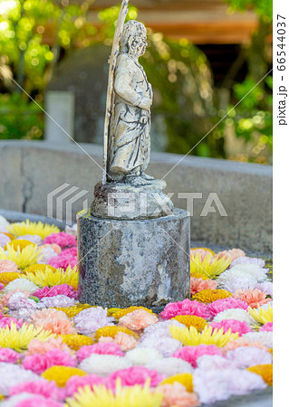 三室戸寺2161 66544037