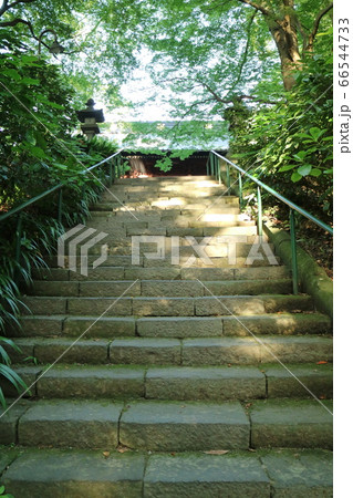 鎌倉妙本寺の石階段 66544733