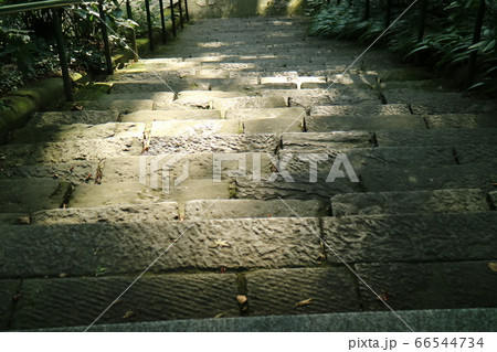 鎌倉妙本寺の石階段 鎌倉妙本寺の石階段 66544734